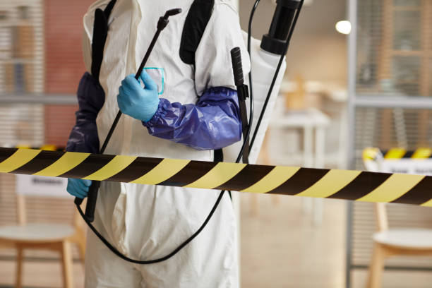 Professional Sewage Cleanup technician working in Bradford, NH
